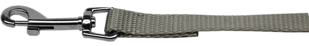 Plain Nylon Pet Leash 5/8in by 6ft Silver